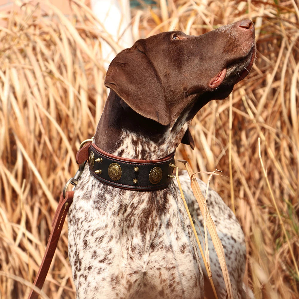 PetFind Durable Leather Dog Collar/Spiked Studded Adjustable/Medium Large Dogs