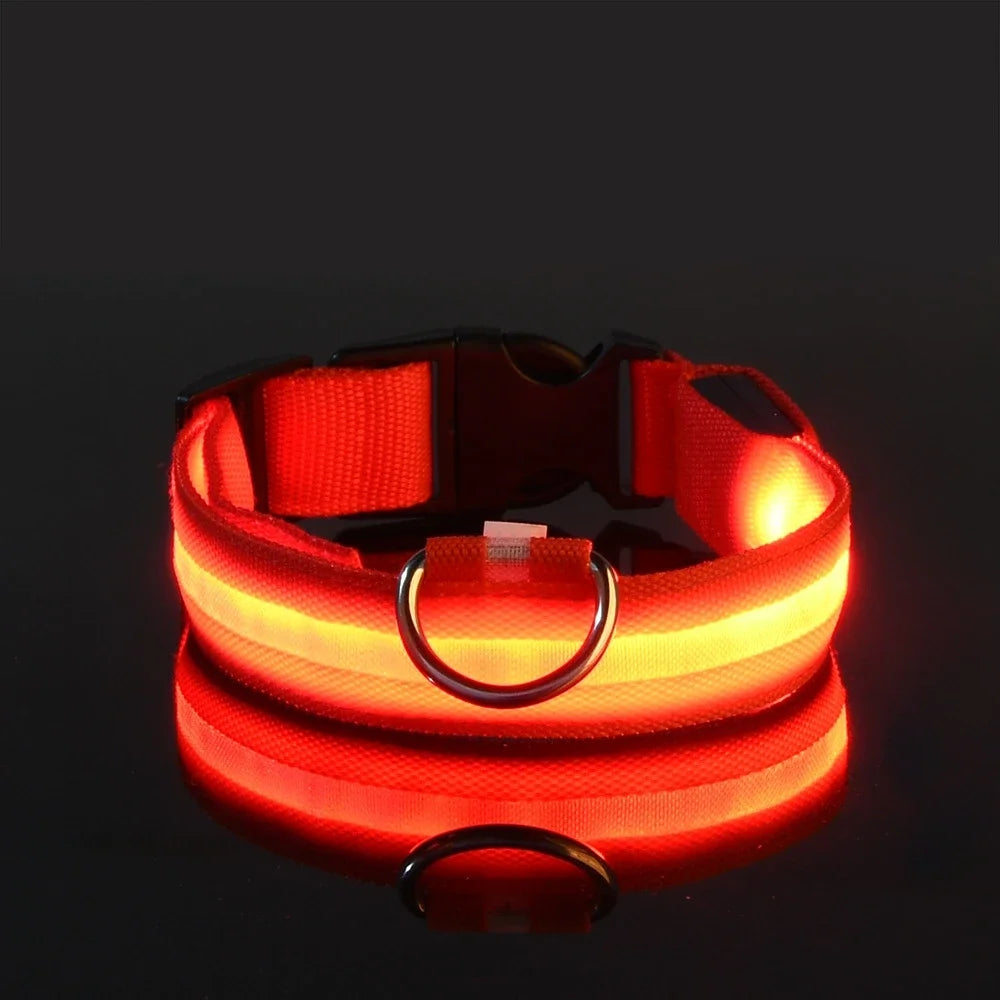 Night Safety Flashing Glow In The Dark LED Dog Collar/Nylon/Avoid Accident for Dogs