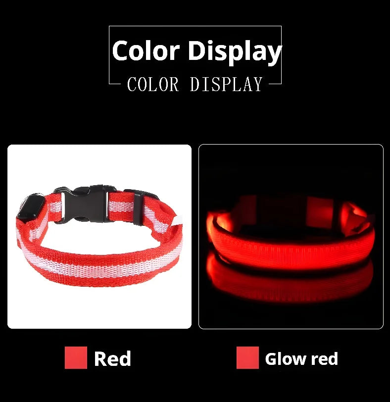 Night Safety Flashing Glow In The Dark LED Dog Collar/Nylon/Avoid Accident for Dogs