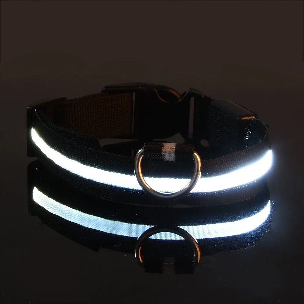 Night Safety Flashing Glow In The Dark LED Dog Collar/Nylon/Avoid Accident for Dogs