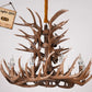 Premium Vintage Deer Antlers Chandelier/Retro Ceiling Hanging Lighting Fixture/Resin