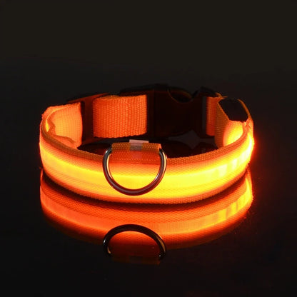 Night Safety Flashing Glow In The Dark LED Dog Collar/Nylon/Avoid Accident for Dogs