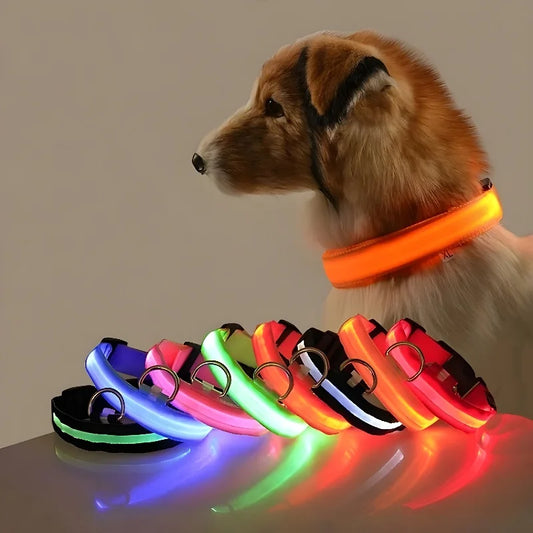 Night Safety Flashing Glow In The Dark LED Dog Collar/Nylon/Avoid Accident for Dogs