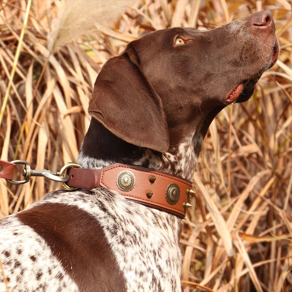 PetFind Durable Leather Dog Collar/Spiked Studded Adjustable/Medium Large Dogs