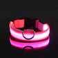 Night Safety Flashing Glow In The Dark LED Dog Collar/Nylon/Avoid Accident for Dogs