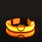 Night Safety Flashing Glow In The Dark LED Dog Collar/Nylon/Avoid Accident for Dogs